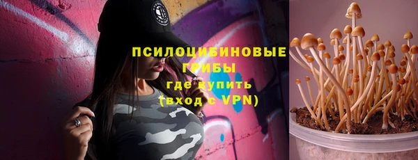 твердый Бородино