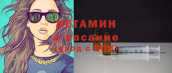 твердый Бородино