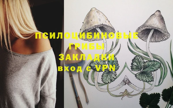 твердый Бородино
