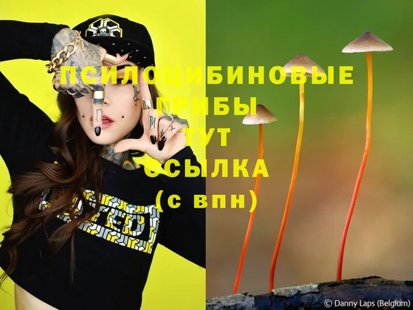 индика Покров