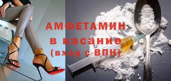 твердый Бородино