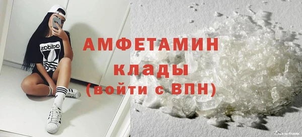 твердый Бородино