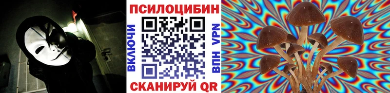 Псилоцибиновые грибы мицелий  Кизилюрт 