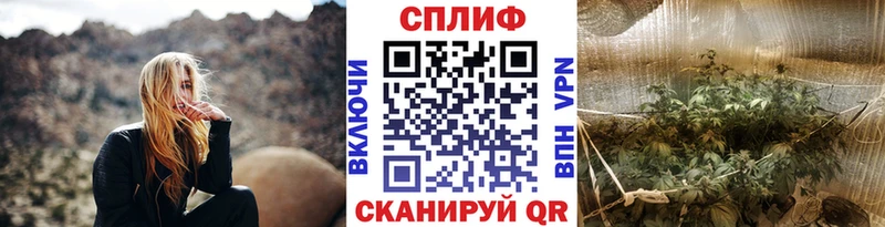 Бошки Шишки гибрид Кизилюрт
